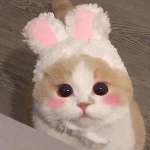 肛门犯罪电影在线观看
